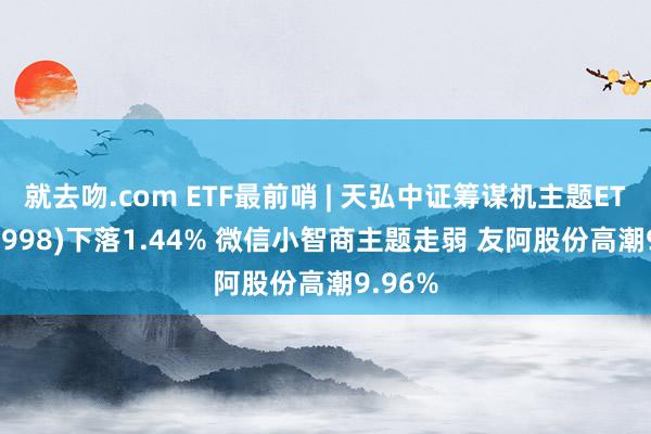 就去吻.com ETF最前哨 | 天弘中证筹谋机主题ETF(159998)下落1.44% 微信小智商主题走弱 友阿股份高潮9.96%