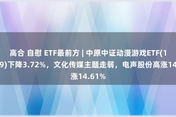 高合 自慰 ETF最前方 | 中原中证动漫游戏ETF(159869)下降3.72%，文化传媒主题走弱，电声股份高涨14.61%