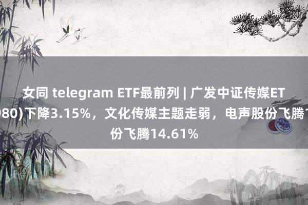 女同 telegram ETF最前列 | 广发中证传媒ETF(512980)下降3.15%，文化传媒主题走弱，电声股份飞腾14.61%