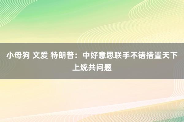 小母狗 文爱 特朗普：中好意思联手不错措置天下上统共问题