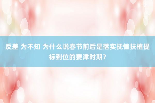 反差 为不知 为什么说春节前后是落实抚恤扶植提标到位的要津时期？