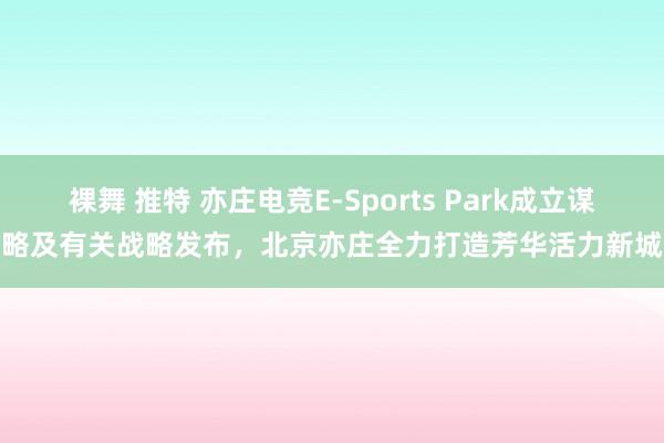 裸舞 推特 亦庄电竞E-Sports Park成立谋略及有关战略发布，北京亦庄全力打造芳华活力新城