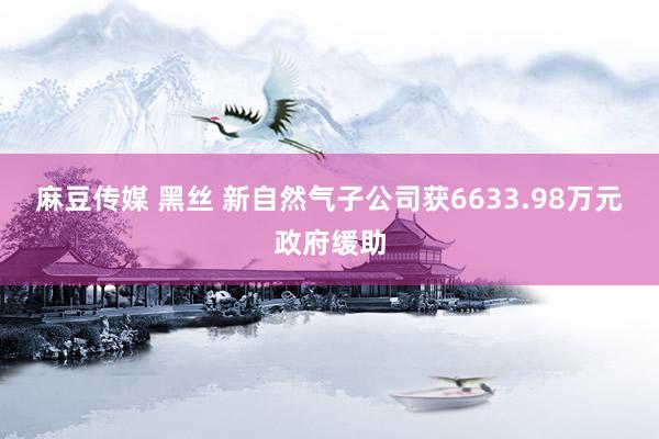 麻豆传媒 黑丝 新自然气子公司获6633.98万元政府缓助