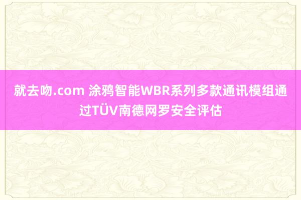 就去吻.com 涂鸦智能WBR系列多款通讯模组通过TÜV南德网罗安全评估