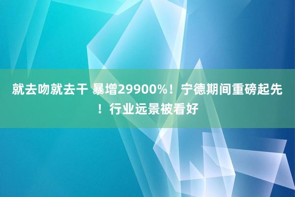 就去吻就去干 暴增29900%！宁德期间重磅起先！行业远景被看好