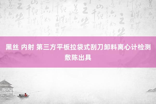 黑丝 内射 第三方平板拉袋式刮刀卸料离心计检测敷陈出具