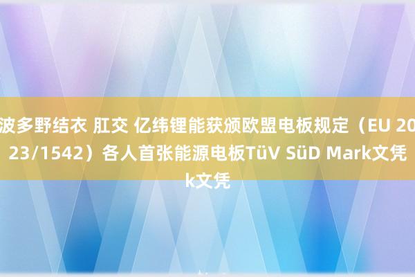 波多野结衣 肛交 亿纬锂能获颁欧盟电板规定（EU 2023/1542）各人首张能源电板TüV SüD Mark文凭