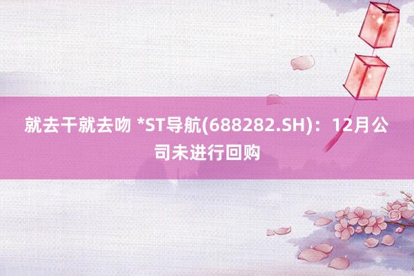 就去干就去吻 *ST导航(688282.SH)：12月公司未进行回购