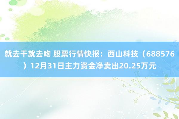 就去干就去吻 股票行情快报：西山科技（688576）12月31日主力资金净卖出20.25万元