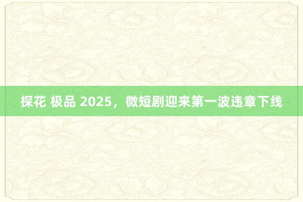 探花 极品 2025，微短剧迎来第一波违章下线