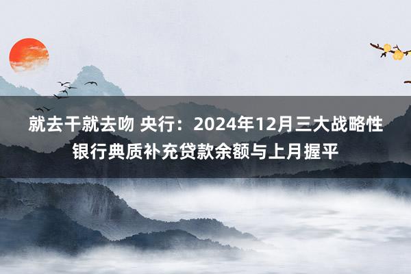 就去干就去吻 央行：2024年12月三大战略性银行典质补充贷款余额与上月握平