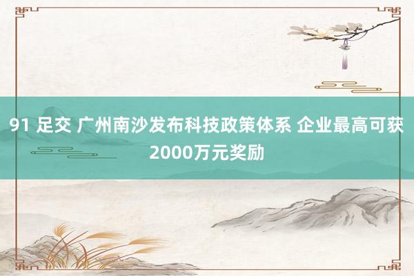 91 足交 广州南沙发布科技政策体系 企业最高可获2000万元奖励