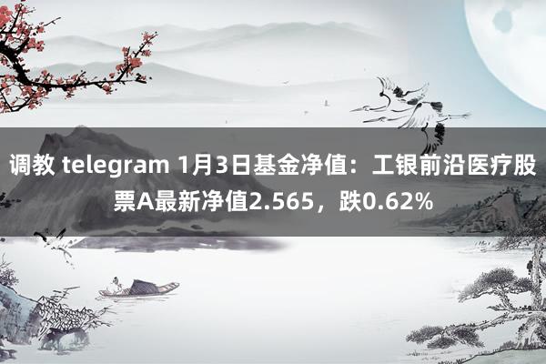 调教 telegram 1月3日基金净值：工银前沿医疗股票A最新净值2.565，跌0.62%