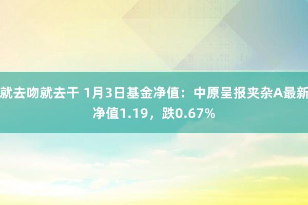 就去吻就去干 1月3日基金净值：中原呈报夹杂A最新净值1.19，跌0.67%