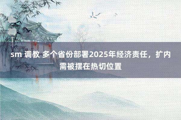 sm 调教 多个省份部署2025年经济责任，扩内需被摆在热切位置