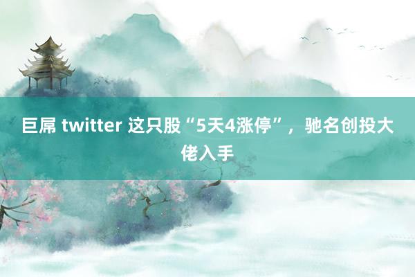 巨屌 twitter 这只股“5天4涨停”，驰名创投大佬入手