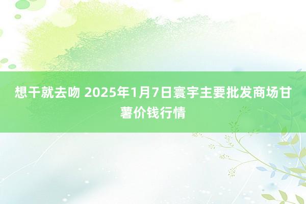 想干就去吻 2025年1月7日寰宇主要批发商场甘薯价钱行情