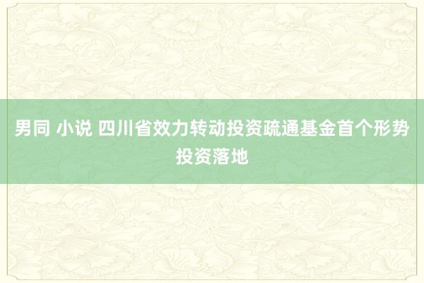 男同 小说 四川省效力转动投资疏通基金首个形势投资落地