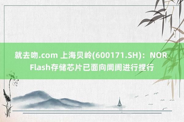 就去吻.com 上海贝岭(600171.SH)：NOR Flash存储芯片已面向阛阓进行捏行