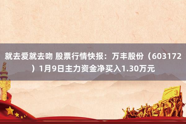 就去爱就去吻 股票行情快报：万丰股份（603172）1月9日主力资金净买入1.30万元