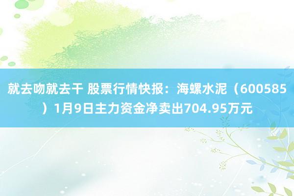 就去吻就去干 股票行情快报：海螺水泥（600585）1月9日主力资金净卖出704.95万元