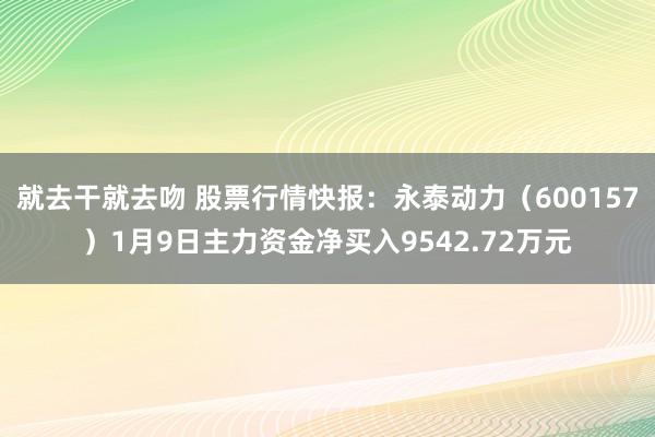 就去干就去吻 股票行情快报：永泰动力（600157）1月9日主力资金净买入9542.72万元