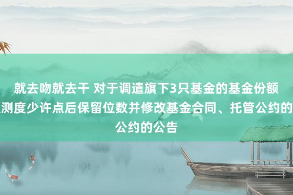 就去吻就去干 对于调遣旗下3只基金的基金份额净值测度少许点后保留位数并修改基金合同、托管公约的公告