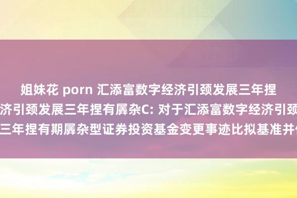 姐妹花 porn 汇添富数字经济引颈发展三年捏有羼杂A，汇添富数字经济引颈发展三年捏有羼杂C: 对于汇添富数字经济引颈发展三年捏有期羼杂型证券投资基金变更事迹比拟基准并修改基金公约等法律文献的公告