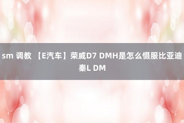 sm 调教 【E汽车】荣威D7 DMH是怎么慑服比亚迪秦L DM