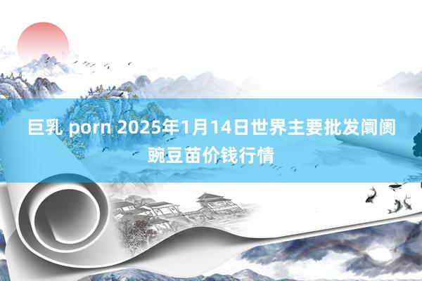 巨乳 porn 2025年1月14日世界主要批发阛阓豌豆苗价钱行情