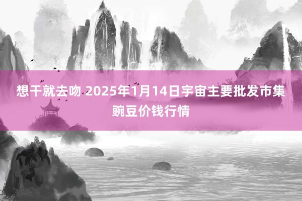 想干就去吻 2025年1月14日宇宙主要批发市集豌豆价钱行情