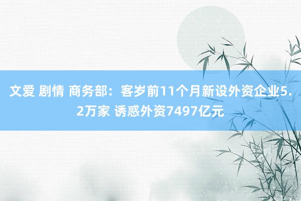 文爱 剧情 商务部：客岁前11个月新设外资企业5.2万家 诱惑外资7497亿元